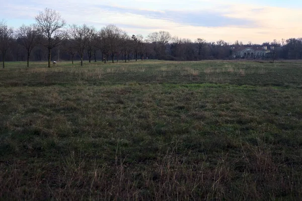 Çıplak ağaçlarla dolu patikanın yanındaki çayır ve gün batımında parkta bir köşk.