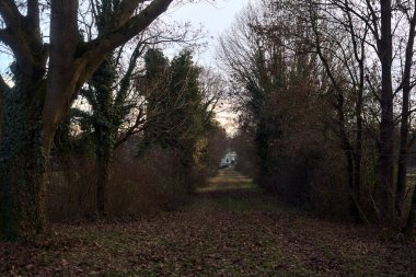 Gün batımında parkın ortasında yapraklarla kaplı bir patika.