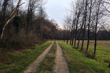 Gün batımında İtalya kırsalında bir orman ve bir sıra ağaçla çevrili bir yol.