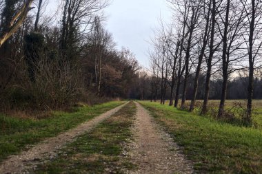 Gün batımında İtalya kırsalında bir orman ve bir sıra ağaçla çevrili bir yol.