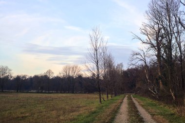 Gün batımında İtalya kırsalında bir orman ve bir sıra ağaçla çevrili bir yol.