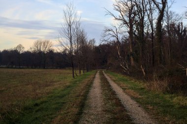 Gün batımında İtalya kırsalında bir orman ve bir sıra ağaçla çevrili bir yol.