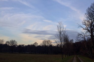 Gün batımında İtalya kırsalında bir orman ve bir sıra ağaçla çevrili bir yol.