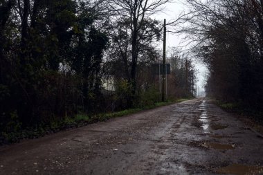 Dirt road with puddles in a grove on a clou day in winter