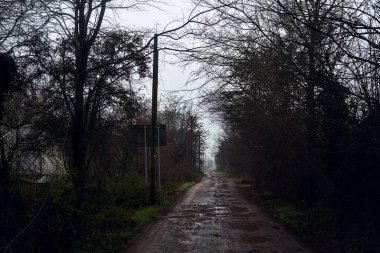 Dirt road with puddles in a grove on a clou day in winter