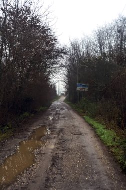 Dirt road with puddles in a grove on a clou day in winter