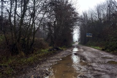 Dirt road with puddles in a grove on a clou day in winter