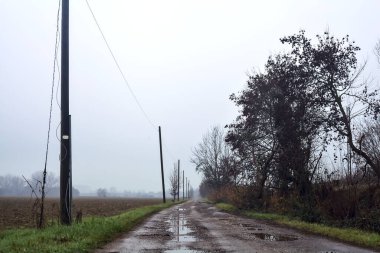 Dirt road with puddles bordered by a field and trees by the edge of a railroad track on an embankment on a cloudy day in the italian countryside
