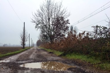 Dirt road with puddles bordered by a field and trees by the edge of a railroad track on an embankment on a cloudy day in the italian countryside