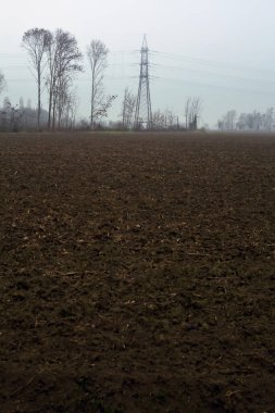 Cultivated field on a cloudy and misty day with bare trees and pylons in the distance