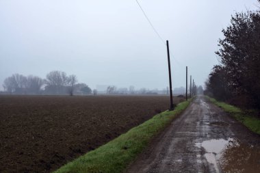 Dirt road with puddles bordered by a field and trees by the edge of a railroad track on an embankment on a cloudy day in the italian countryside