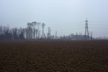 Cultivated field on a cloudy and misty day with bare trees and pylons in the distance