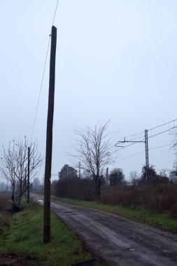 Dirt road with puddles bordered by a field and trees by the edge of a railroad track on an embankment on a cloudy day in the italian countryside