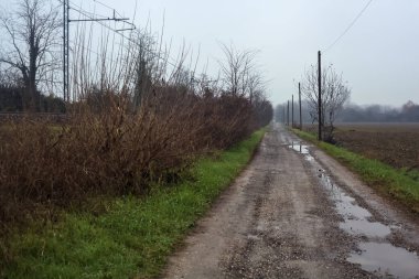 Dirt road with puddles bordered by a field and trees by the edge of a railroad track on an embankment on a cloudy day in the italian countryside