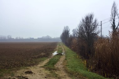 Muddy track next to a cultivated field and a group of trees by the edge of a railroad track on a misty day in winter