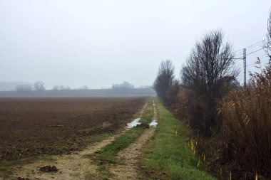 Muddy track next to a cultivated field and a group of trees by the edge of a railroad track on a misty day in winter