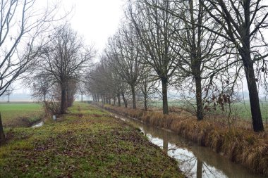 Path next to a stream of water bordered by bare trees on a misty day in the italian countryside