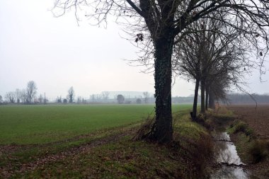 Path by the edge of a field next to a row of bare trees and a stream of water on a misty day in the italian countryside in winter