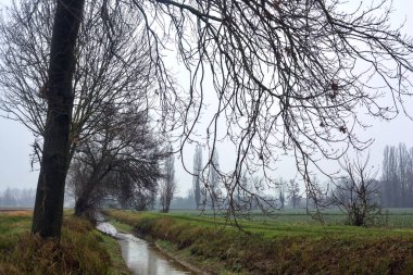 Path by the edge of a field next to a row of bare trees and a stream of water on a misty day in the italian countryside in winter