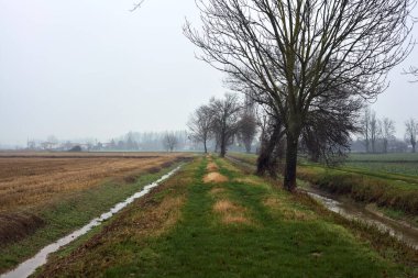 Path by the edge of a field next to a row of bare trees and a stream of water on a misty day in the italian countryside in winter