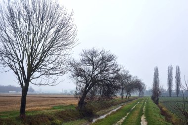Path by the edge of a field next to a row of bare trees and a stream of water on a misty day in the italian countryside in winter