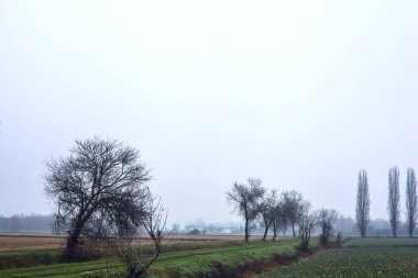 Path by the edge of a field next to a row of bare trees and a stream of water on a misty day in the italian countryside in winter