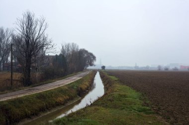 Dirt road next to a stream of water that leads to a grove and a country house on a misty day in the italian countryside