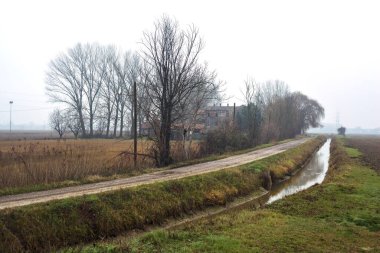 Dirt road next to a stream of water that leads to a grove and a country house on a misty day in the italian countryside