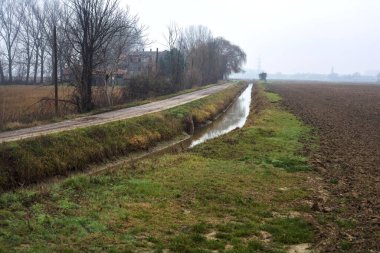 Dirt road next to a stream of water that leads to a grove and a country house on a misty day in the italian countryside