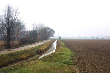 Dirt road next to a stream of water that leads to a grove and a country house on a misty day in the italian countryside