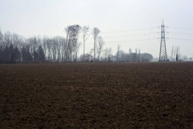 Cultivated field on a cloudy and misty day with bare trees and pylons in the distance