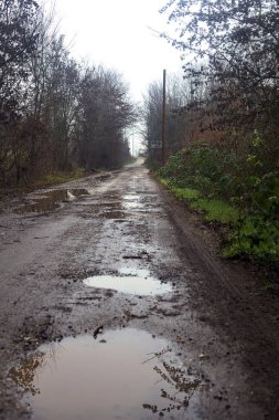 Dirt road with puddles in a grove on a clou day in winter