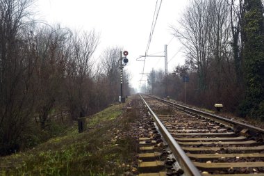 Railroad track in a forest on a misty day in the italian countryside