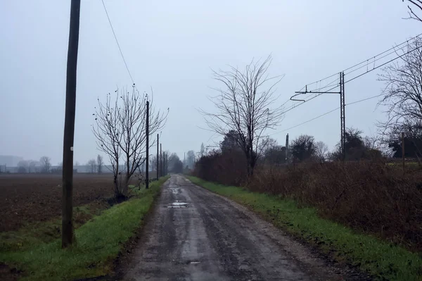 Dirt road with puddles bordered by a field and trees by the edge of a railroad track on an embankment on a cloudy day in the italian countryside