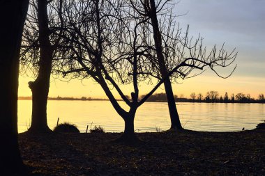 Lake at sunset seen from the shore with silhouette of trees framing it