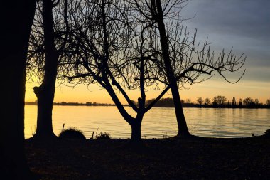 Lake at sunset seen from the shore with silhouette of trees framing it
