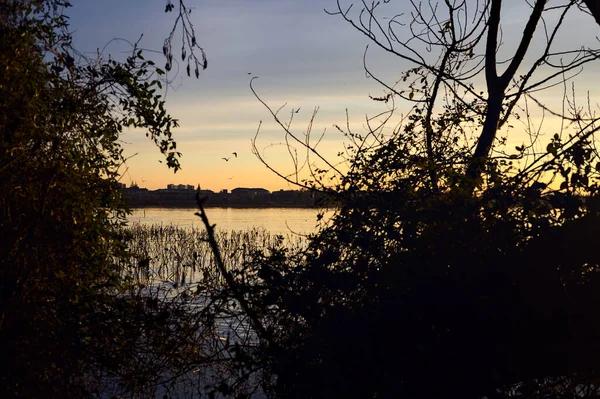 Lake at sunset seen from the shore with silhouette of trees framing it