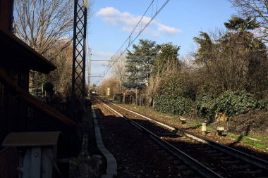 Railroad bordered by a grove on a sunny day in winter