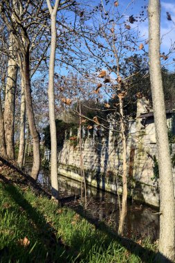 Stream of water bordered by a row of trees and a wooden railing on a sunny day
