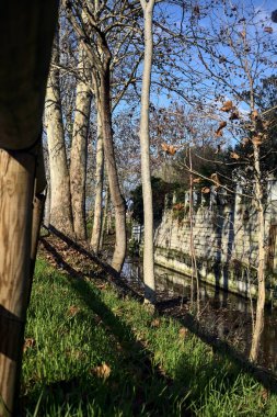 Stream of water bordered by a row of trees and a wooden railing on a sunny day