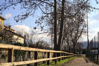 Paved trail bordered by bare trees next to a stream of water and a group of houses on a sunny day in the italian countryside