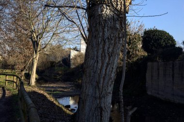 Paved trail bordered by bare trees next to a stream of water and a group of houses on a sunny day in the italian countryside