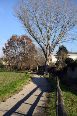 Paved trail bordered by bare trees next to a stream of water and a group of houses on a sunny day in the italian countryside