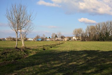 Small irrigation channel with bare trees at its edge in a field on a sunny day in the italian countryside