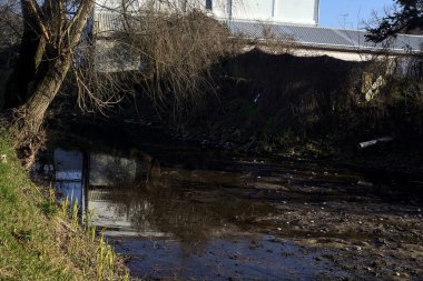 Bare tree by the edge of a stream of water on a sunny day in the italian countryside in winter