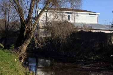 Bare tree by the edge of a stream of water on a sunny day in the italian countryside in winter