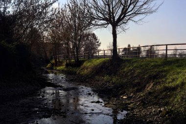 Stream of water in the shade with bare trees by its edge next to a field in the italian countryside in winter