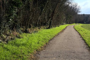 Paved path next to a field bordered by a grove on a sunny day in the italian countryside in winter