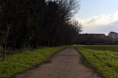 Paved path next to a field bordered by a grove on a sunny day in the italian countryside in winter