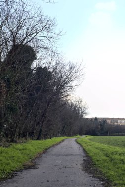 Paved path next to a field bordered by a grove on a sunny day in the italian countryside in winter